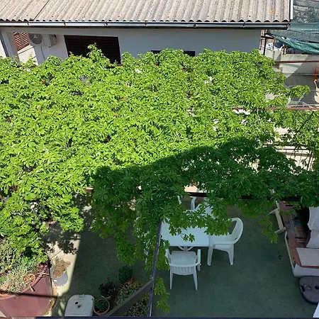 Josip ロゴズニッツァ